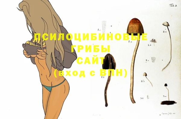 соль ск Алзамай