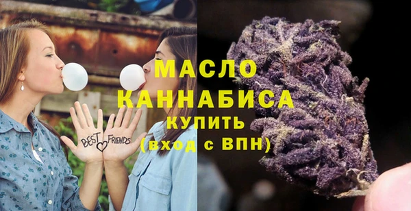 соль ск Алзамай