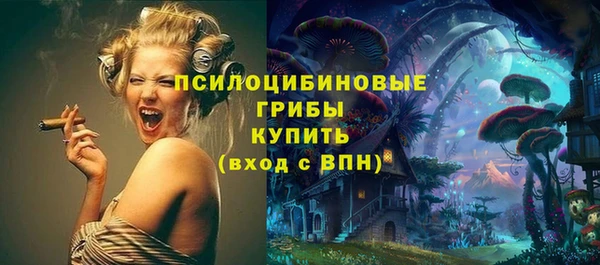 ГАЛЛЮЦИНОГЕННЫЕ ГРИБЫ Алексин