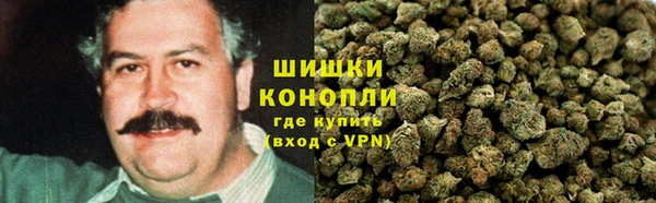 ГАЛЛЮЦИНОГЕННЫЕ ГРИБЫ Алексин