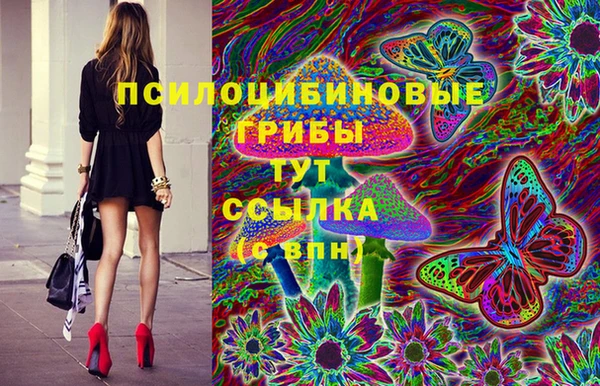 соль ск Алзамай