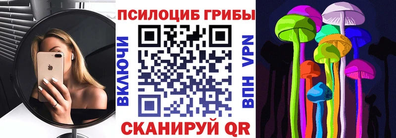 Псилоцибиновые грибы Psilocybe  где можно купить наркотик  Томмот 